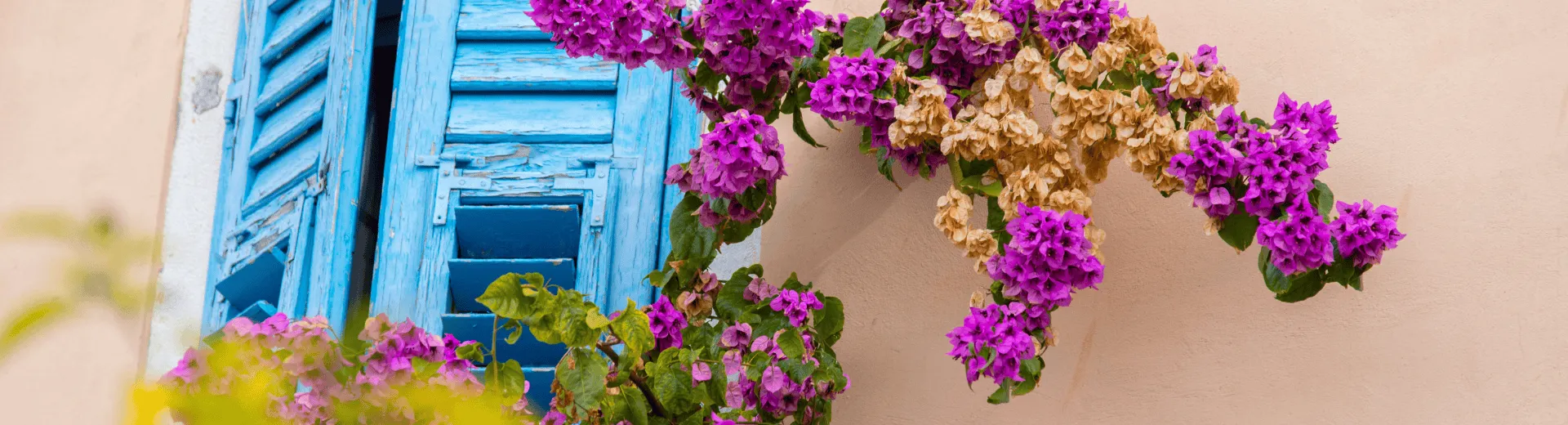 Kroatië
Rovinj