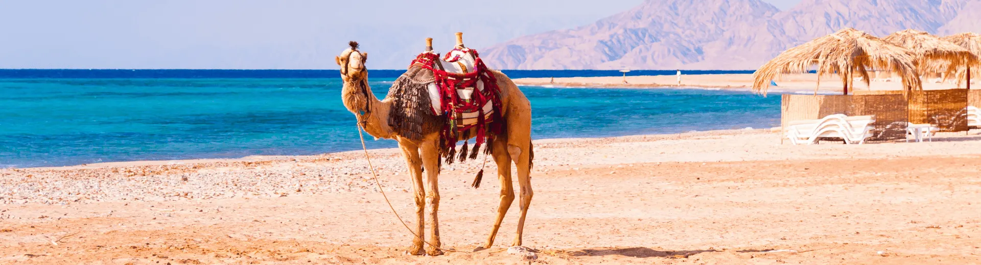 Egypte
Hurghada