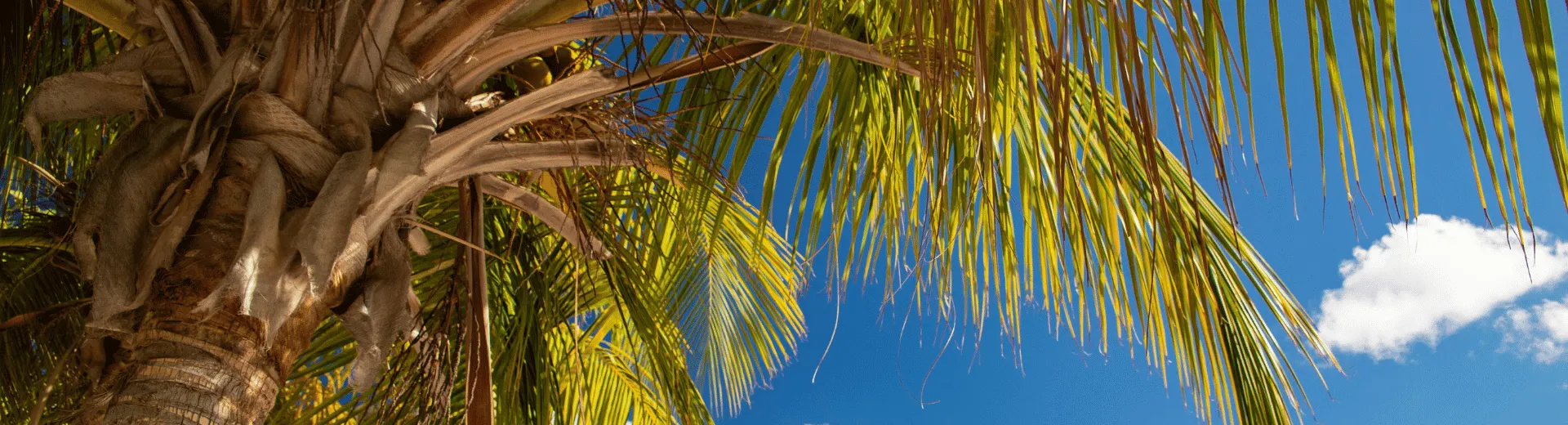 Sint Maarten 