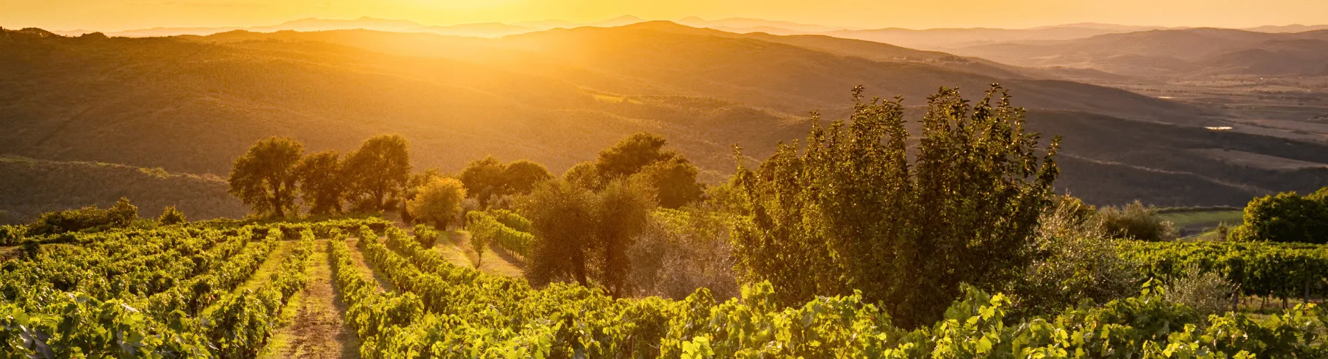 Italië
Toscane